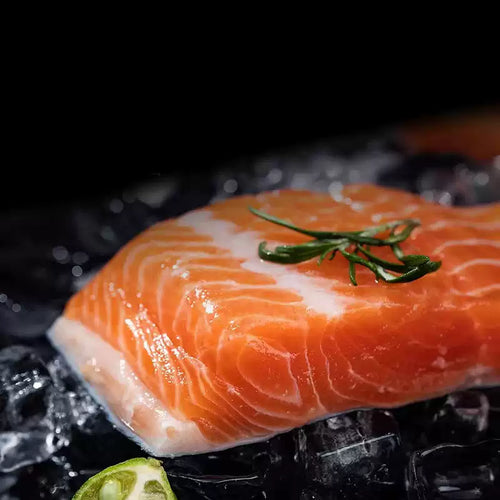 Atlantic Salmon Fillet